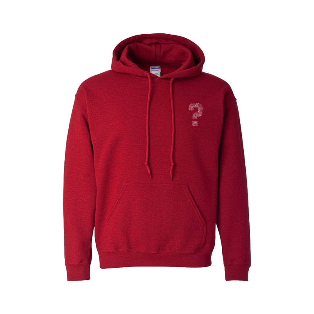 Anybody Else Hoodie *Pre-Order
