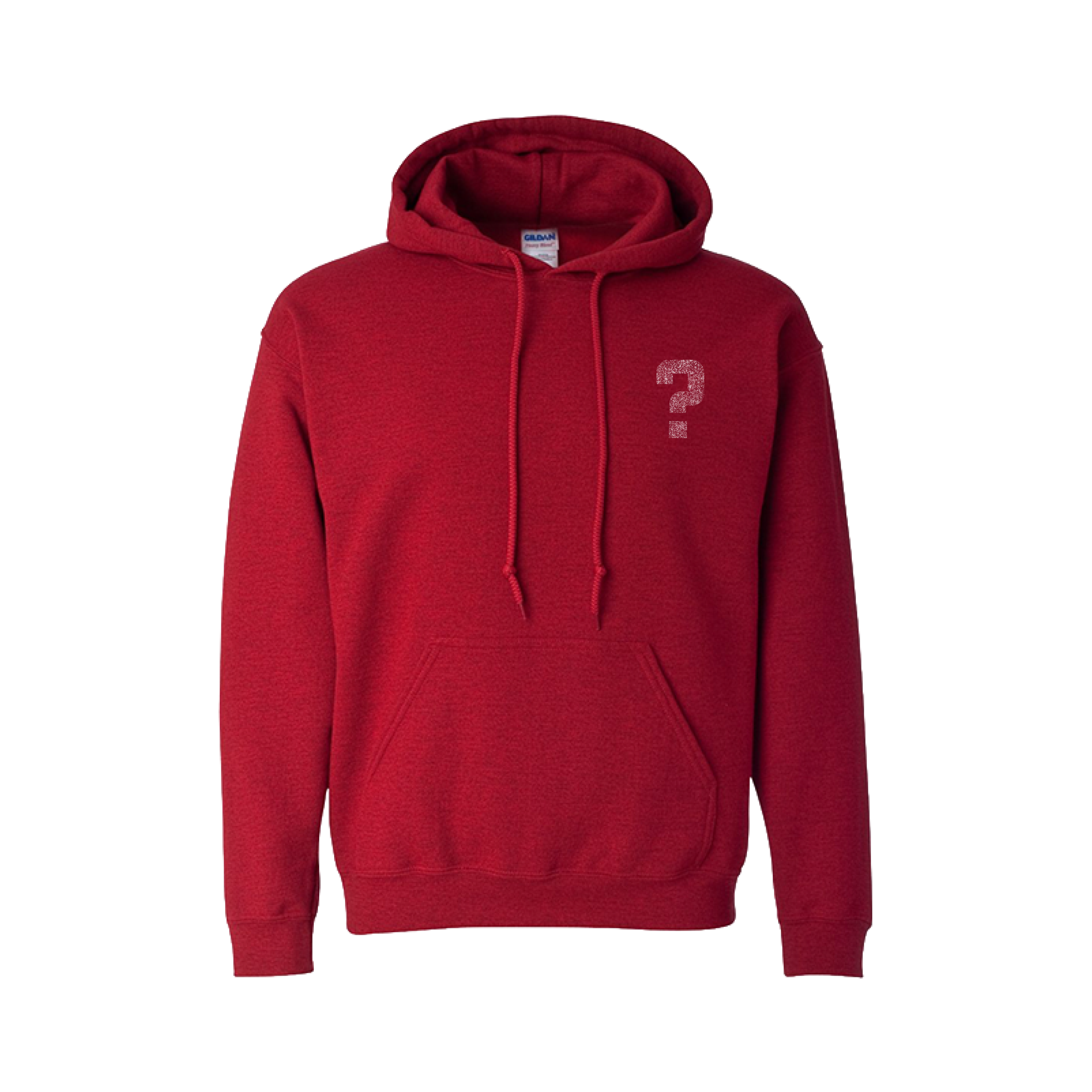 Anybody Else Hoodie *Pre-Order