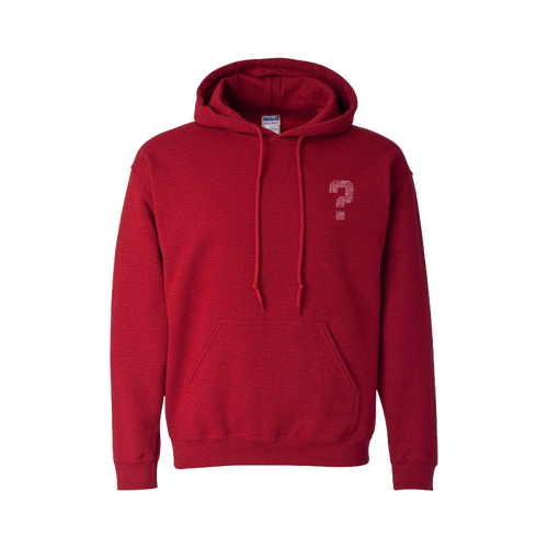 Anybody Else Hoodie *Pre-Order