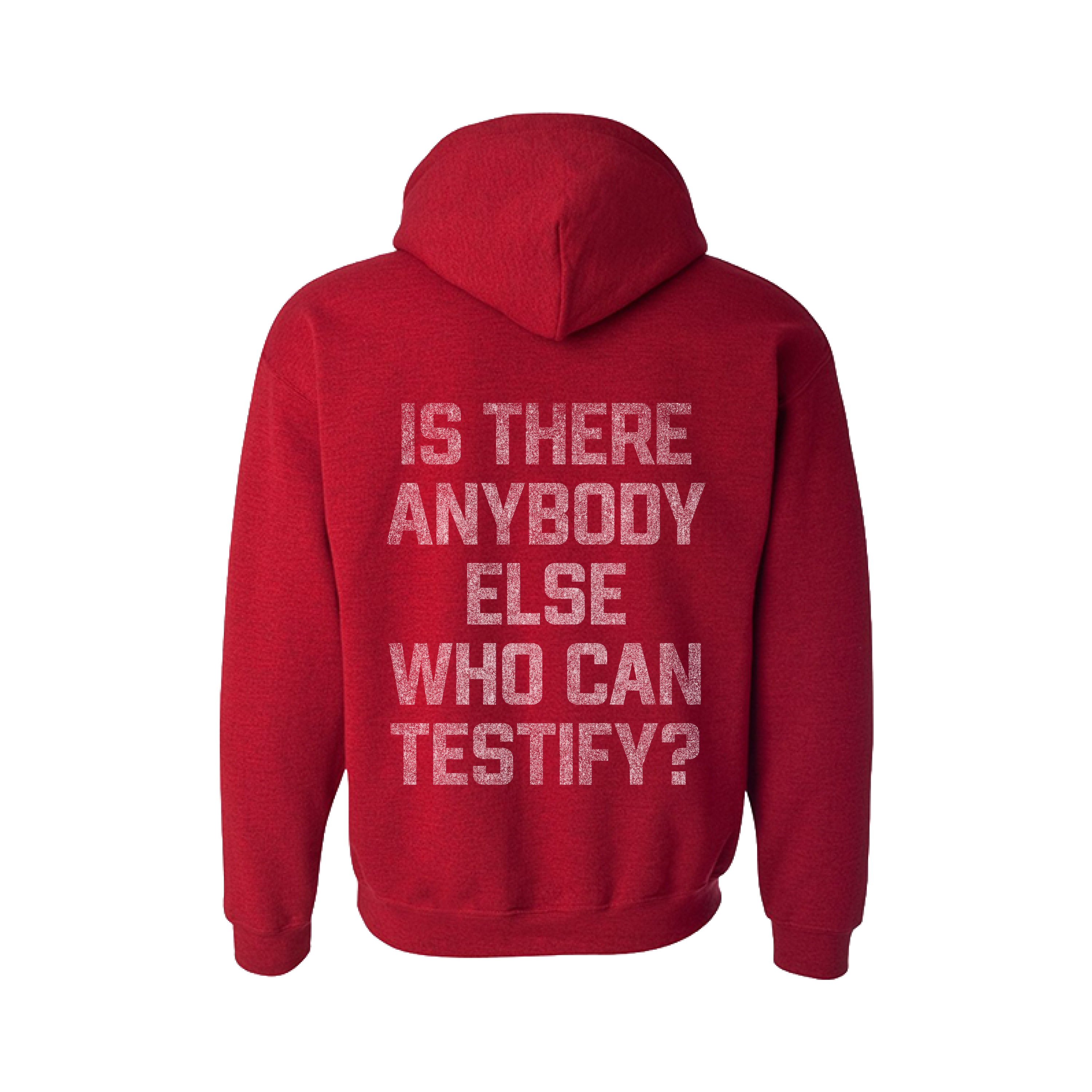 Anybody Else Hoodie *Pre-Order